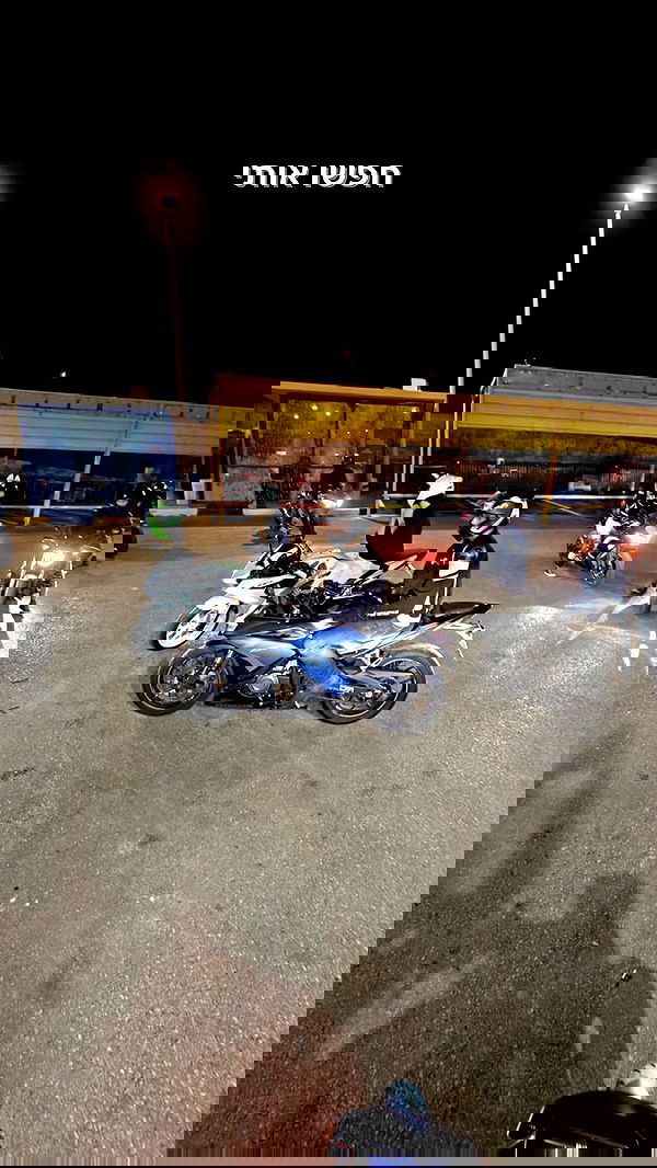 biton__adi biton__adi archive image