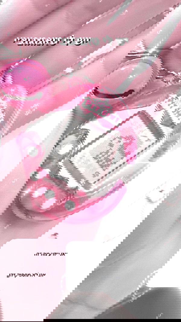 biton__adi biton__adi archive image