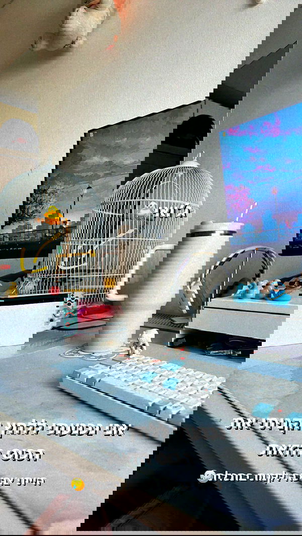 biton__adi biton__adi archive image