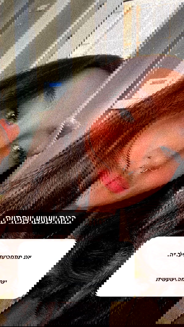 biton__adi biton__adi archive image