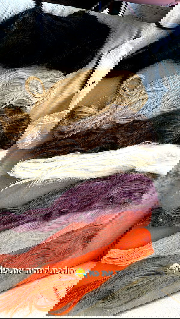 biton__adi biton__adi archive image