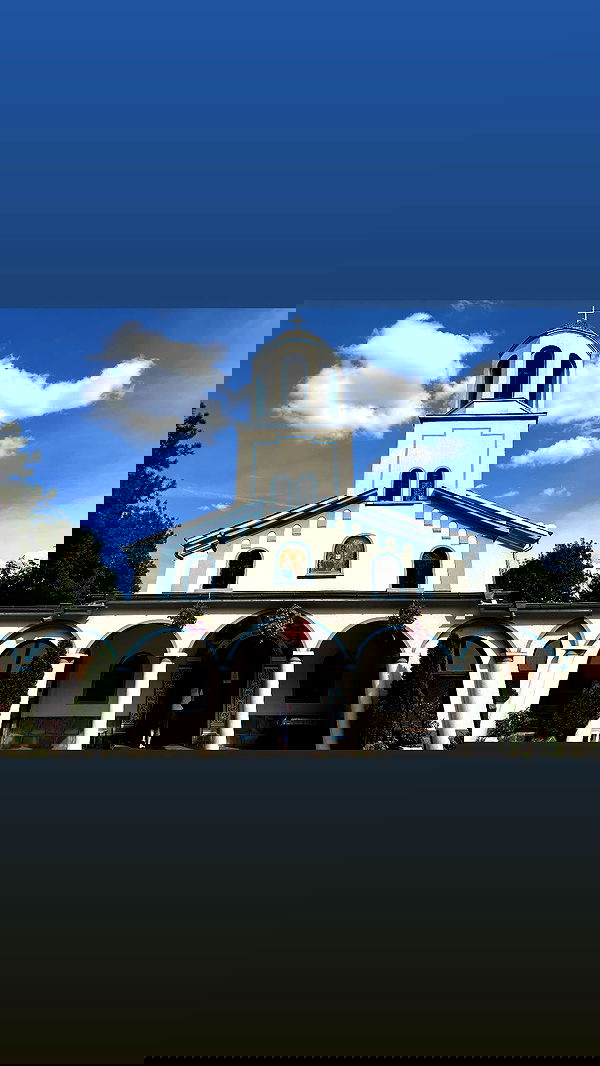 biton__adi biton__adi archive image