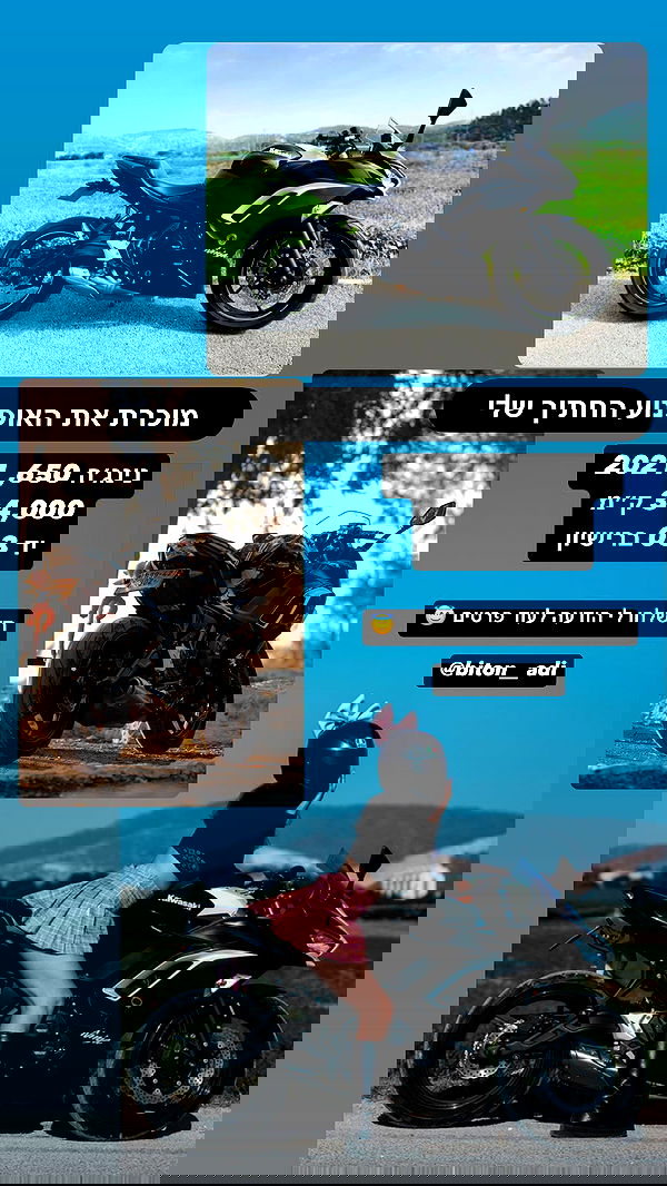 biton__adi biton__adi archive image