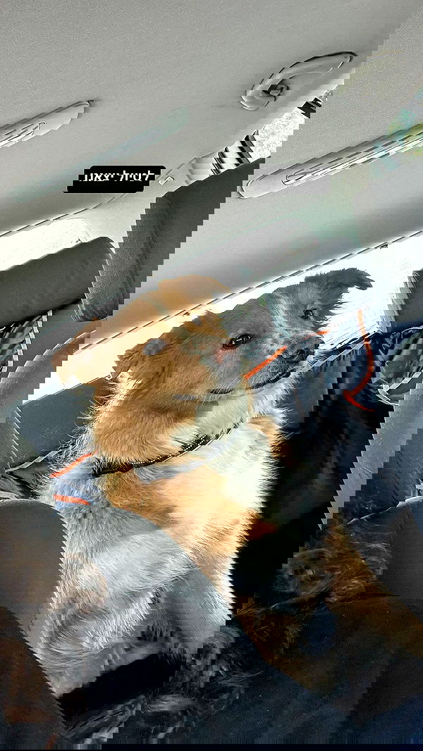 biton__adi biton__adi archive image