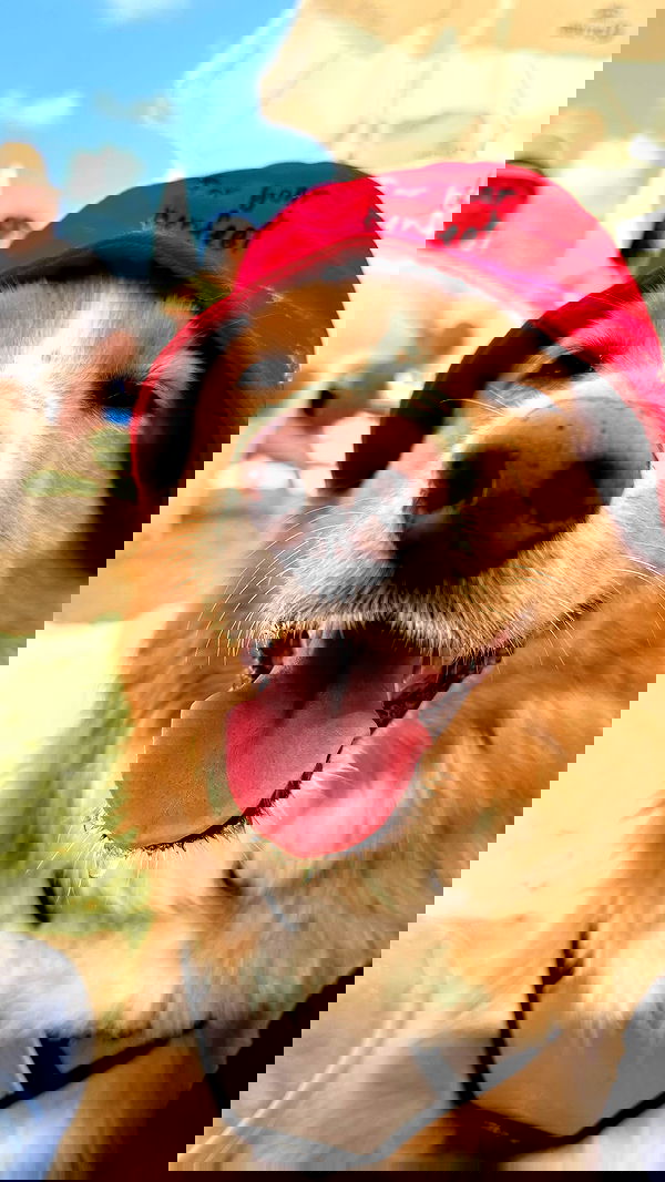 biton__adi biton__adi archive image