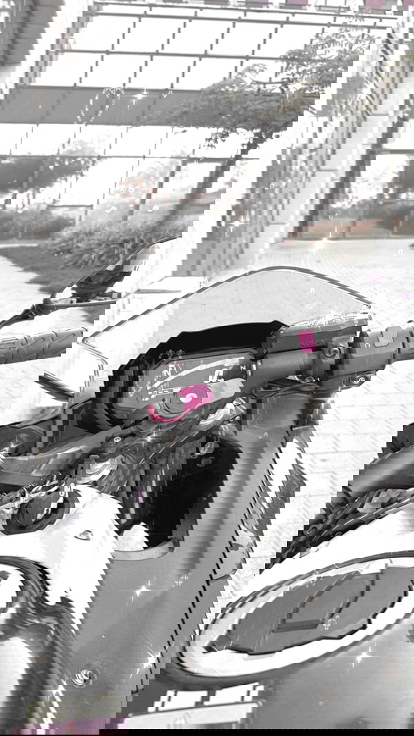 biton__adi biton__adi archive image