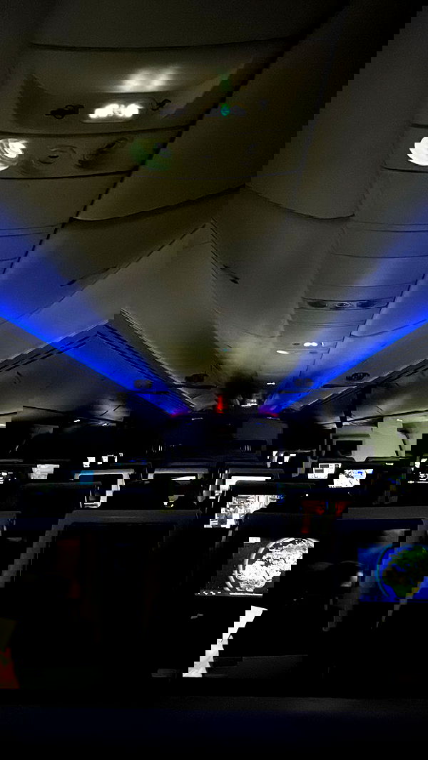 biton__adi biton__adi archive image