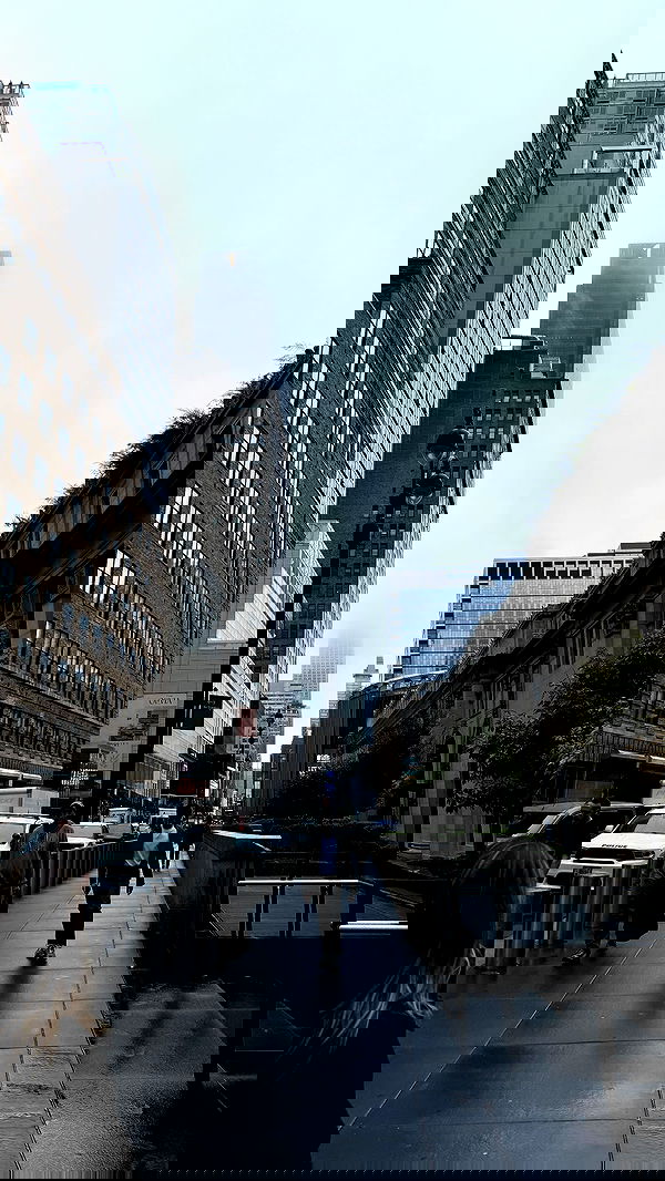 biton__adi biton__adi archive image