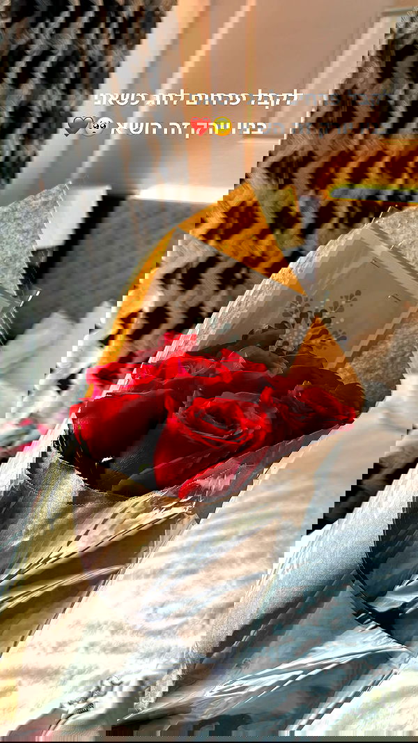 biton__adi biton__adi archive image