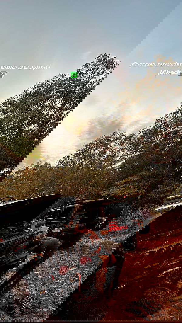 biton__adi biton__adi archive image