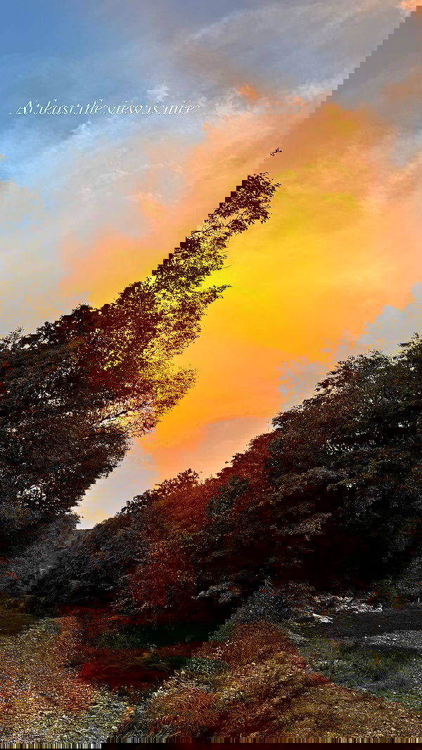 biton__adi biton__adi archive image