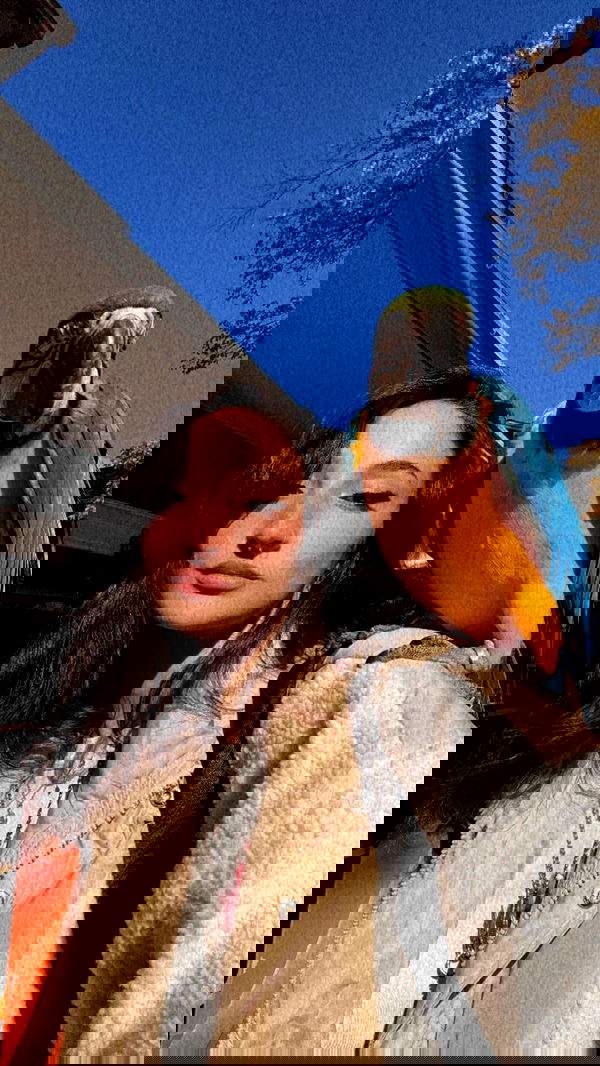 biton__adi biton__adi archive image