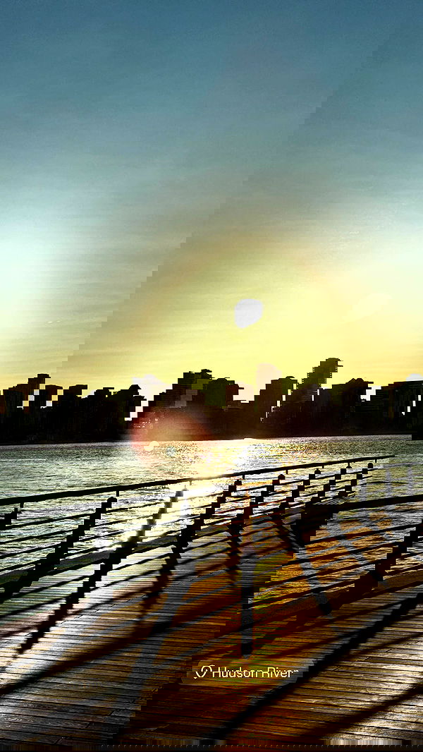 biton__adi biton__adi archive image