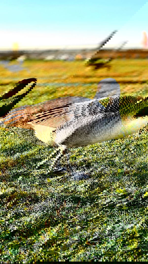 biton__adi biton__adi archive image