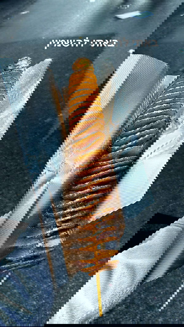 biton__adi biton__adi archive image