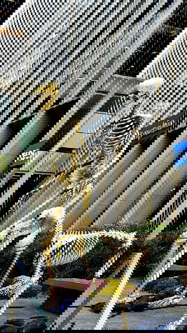 biton__adi biton__adi archive image