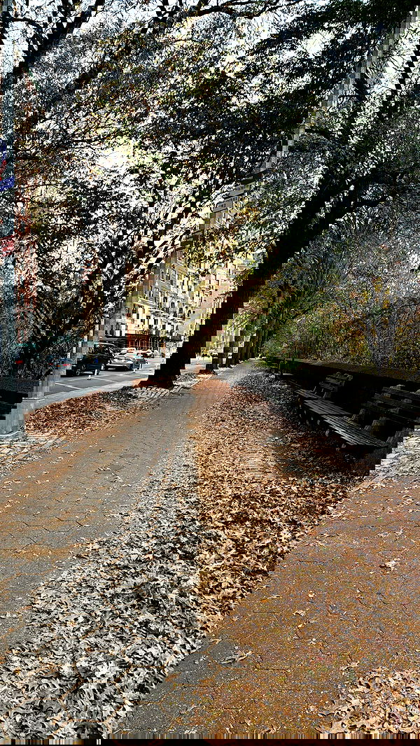 biton__adi biton__adi archive image