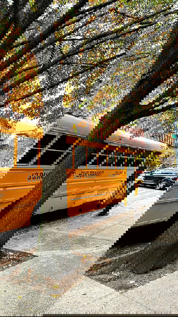 biton__adi biton__adi archive image