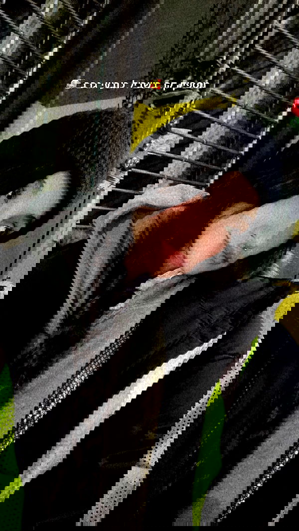 biton__adi biton__adi archive image