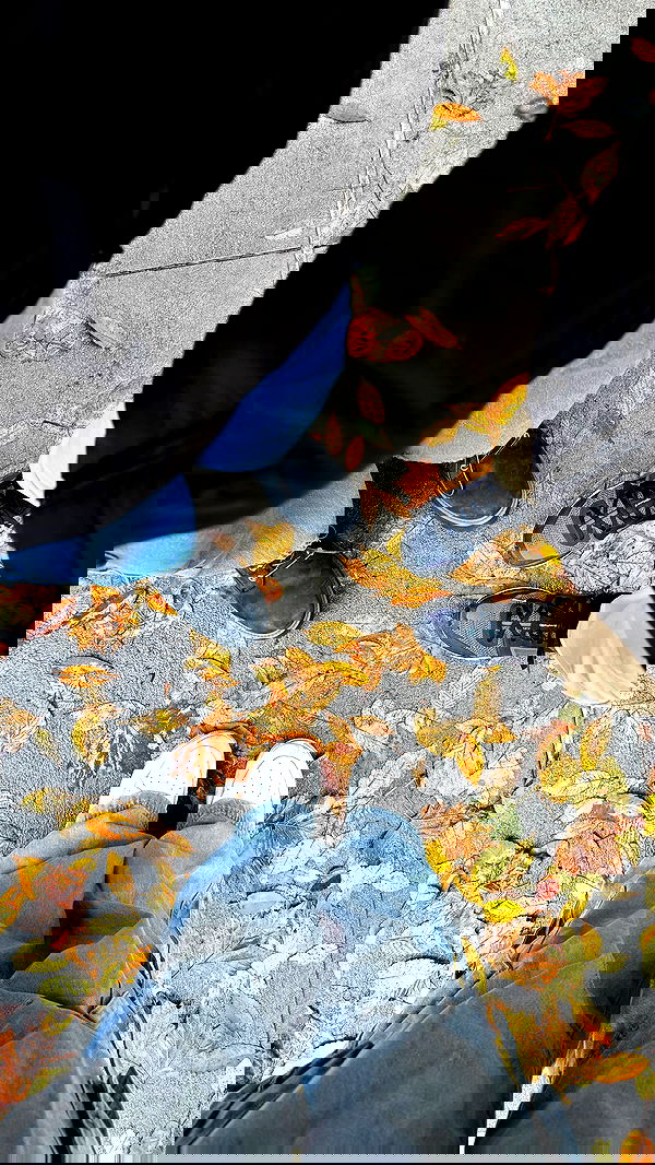 biton__adi biton__adi archive image