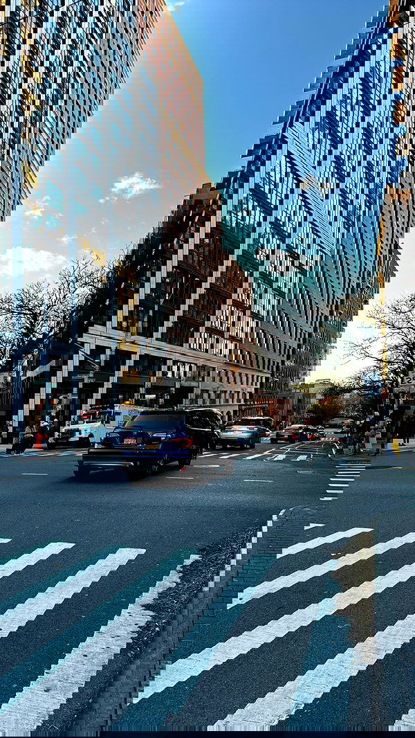 biton__adi biton__adi archive image