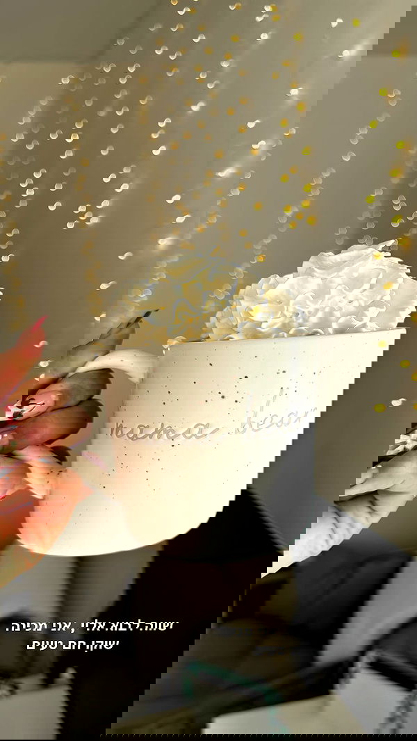 biton__adi biton__adi archive image