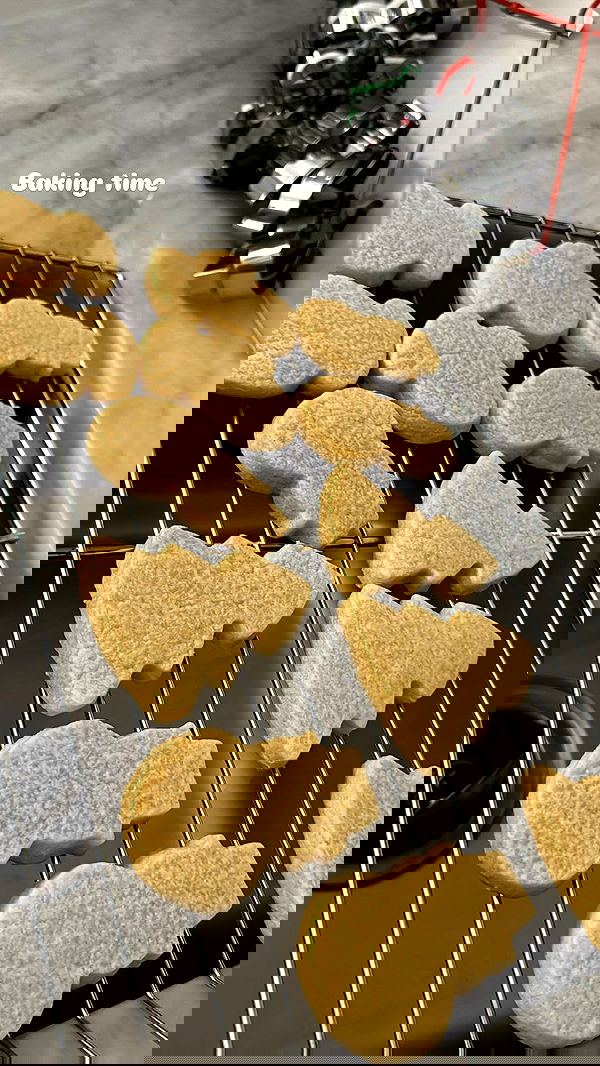 biton__adi biton__adi archive image