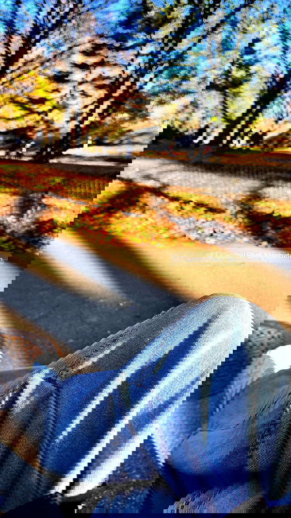 biton__adi biton__adi archive image