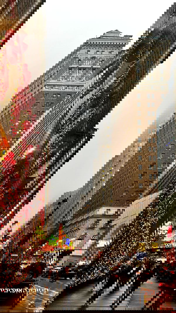 biton__adi biton__adi archive image