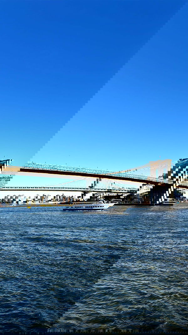 biton__adi biton__adi archive image