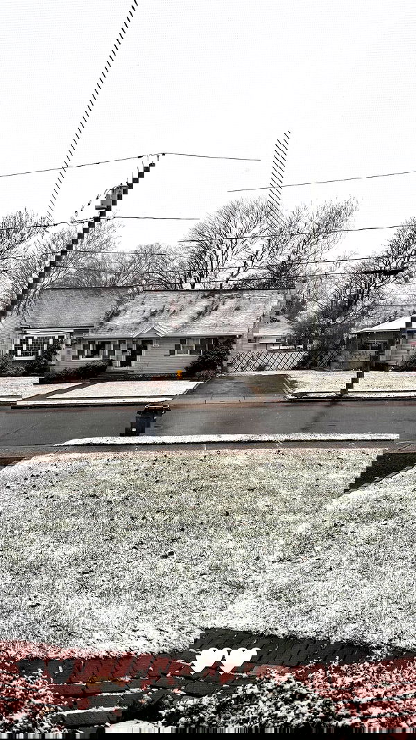 biton__adi biton__adi archive image