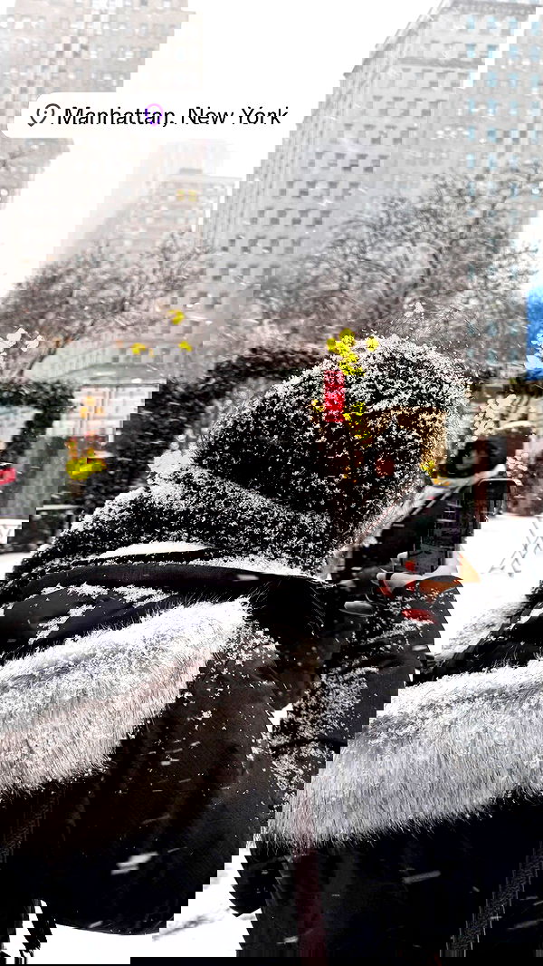 biton__adi biton__adi archive image