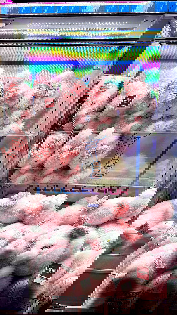 biton__adi biton__adi archive image