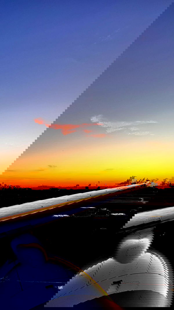 biton__adi biton__adi archive image