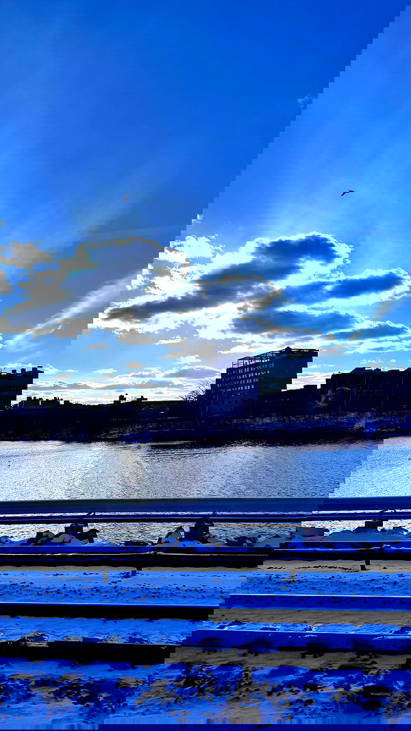 biton__adi biton__adi archive image