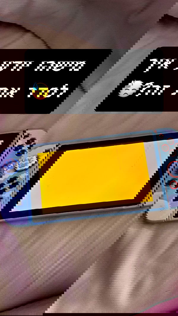 biton__adi biton__adi archive image