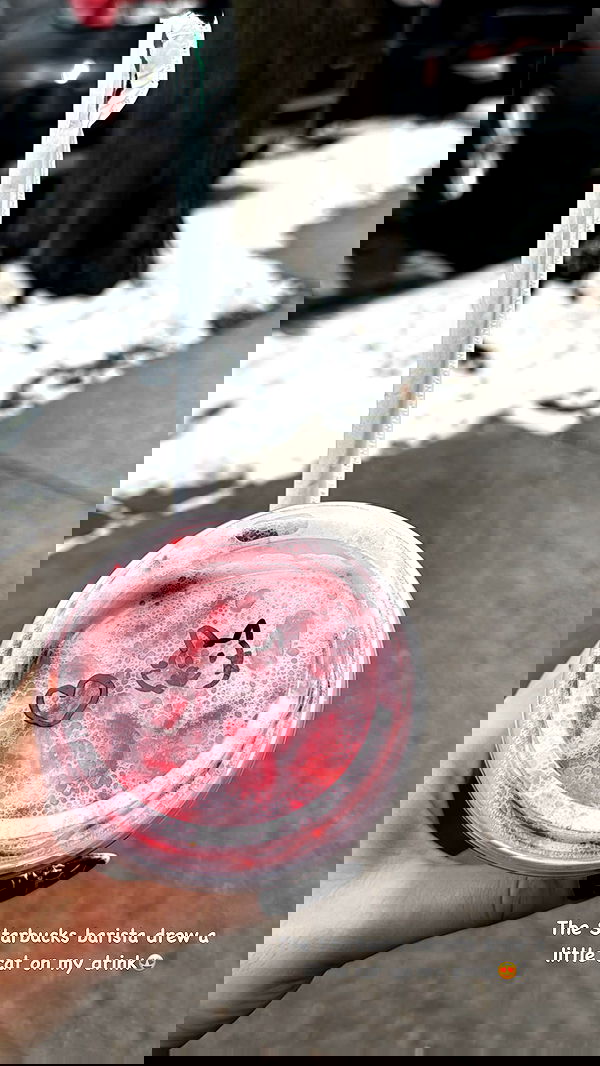 biton__adi biton__adi archive image