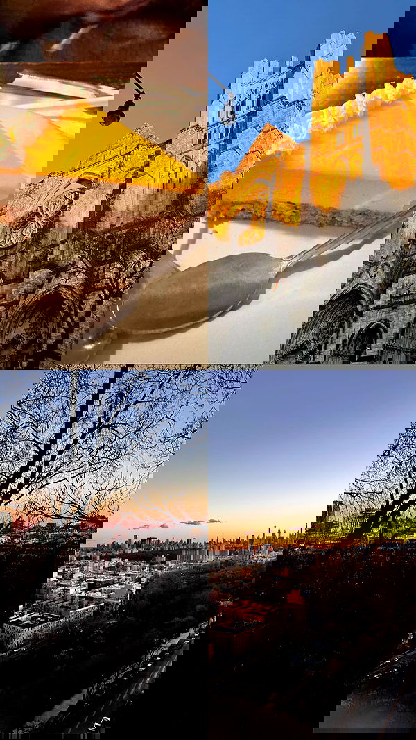 biton__adi biton__adi archive image