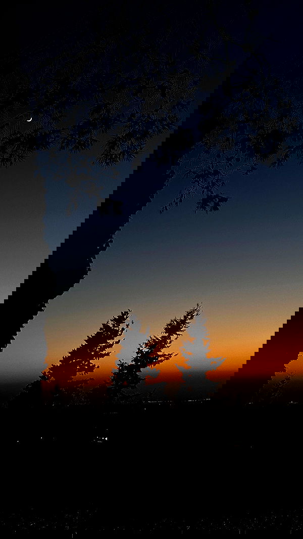 biton__adi biton__adi archive image