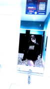 braainr0tt Altpins Profile Picture