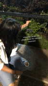 bristalll Altpins Profile Picture