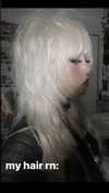 bugluvrr Altpins Profile Picture