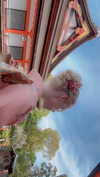 bunny_alina_kim Altpins Profile Picture
