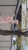 bunny_alina_kim Altpins Profile Picture