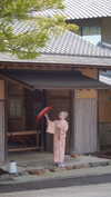 bunny_alina_kim Altpins Profile Picture