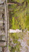 bunny_alina_kim Altpins Profile Picture