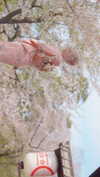 bunny_alina_kim Altpins Profile Picture