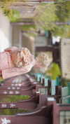bunny_alina_kim Altpins Profile Picture
