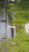 bunny_alina_kim Altpins Profile Picture