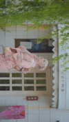 bunny_alina_kim Altpins Profile Picture